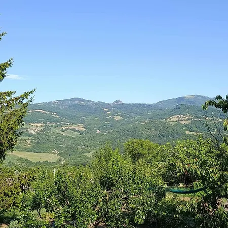 Torricella Hosting Bed and breakfast Torricella (Rimini)