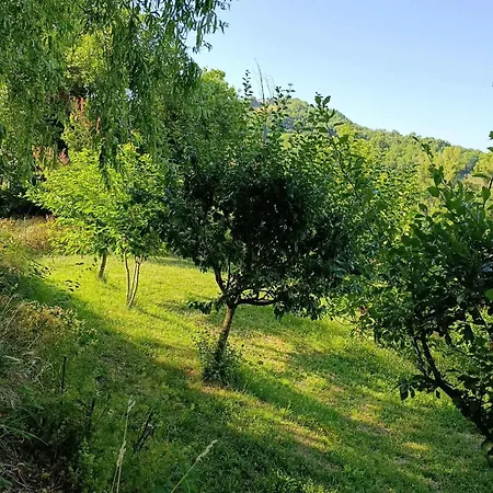 Torricella Hosting Torricella (Rimini)