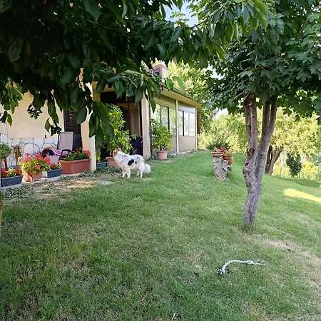 Torricella Hosting Nocleg ze śniadaniem