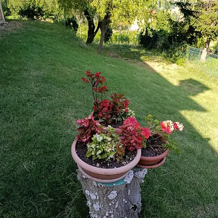 Torricella Hosting Nocleg ze śniadaniem