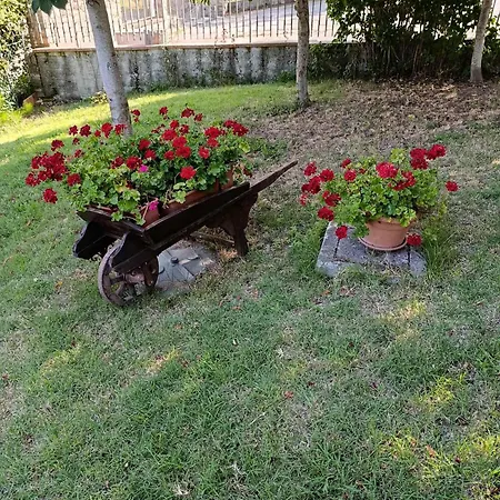 Torricella Hosting * Torricella (Rimini)