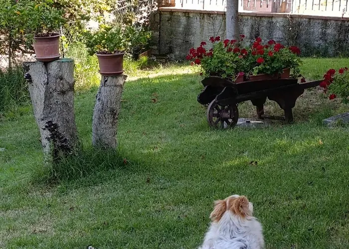 Torricella Hosting * Torricella (Rimini)