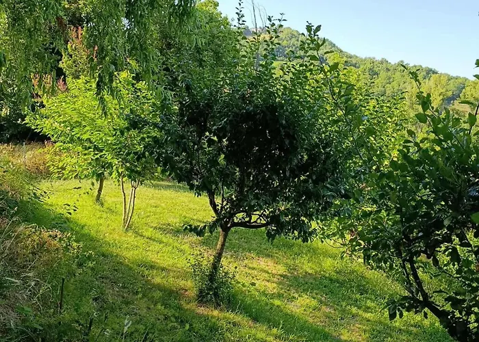 Torricella Hosting Torricella (Rimini)