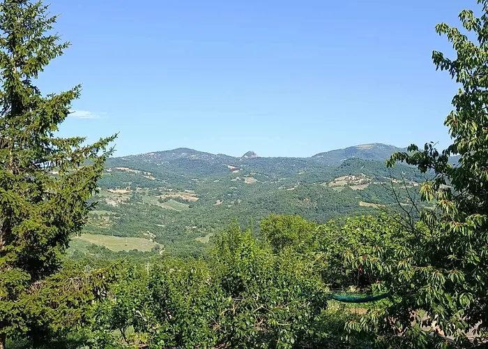 Torricella Hosting فندق مبيت وإفطار Torricella (Rimini)