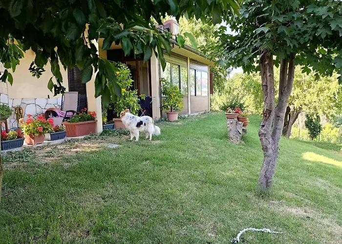 Torricella Hosting فندق مبيت وإفطار