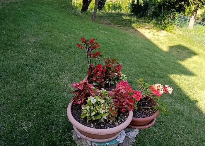 Torricella Hosting Bed & Breakfast