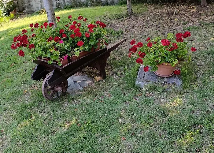 Torricella Hosting * Torricella (Rimini)